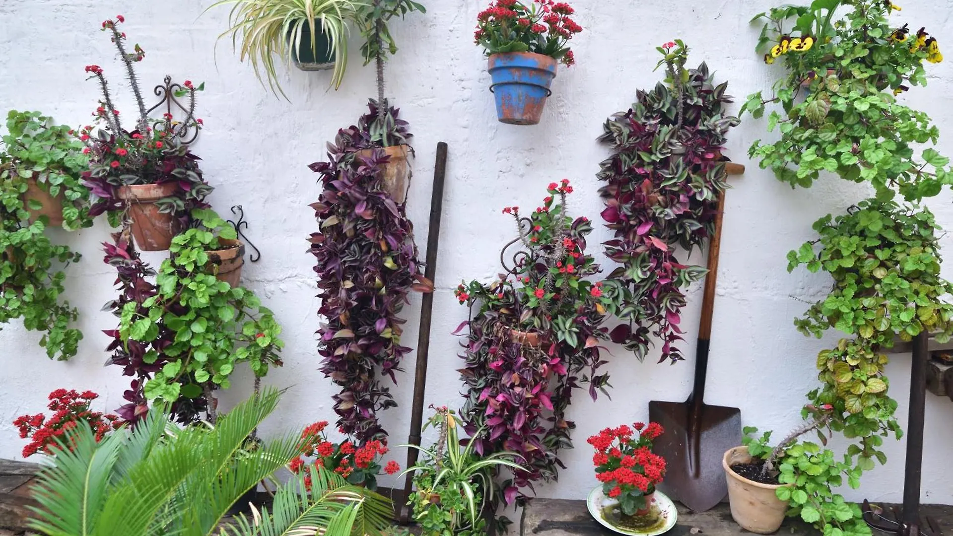 Casa Tenorio Barrio De Santa Cruz إشبيلية إسبانيا
